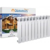 Радиатор биметаллический  LAMMIN PREMIUM BM 500/100 - 10 секций