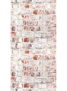 1 1